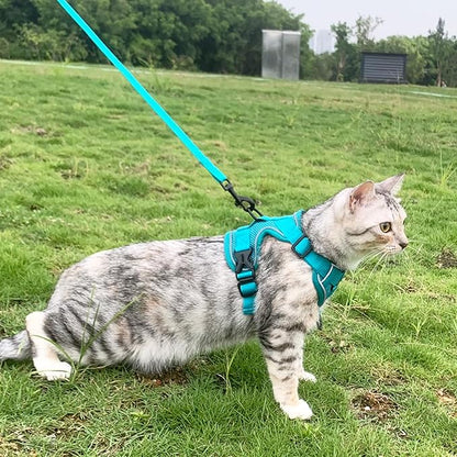 Cat Harness and Leash Set Escape Proof Tactical Extra Large Kitten Harness Emotional Support Cat Vest, Turquoise, XXL
