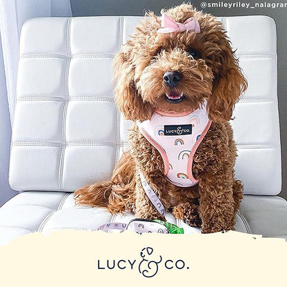 Cute Reversible Dog Harness Walking Halter - Best Designer Pet Harnesses for Medium Dogs - Padded Adjustable Vest for Easy Walking (Large, in The Clouds)