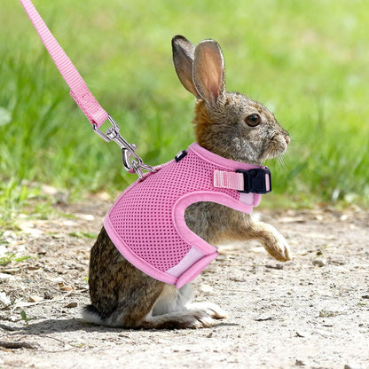 AIITLE Adjustable Rabbit and Leash Set - Lightweight & Portable, Padded Vest with Magic Tape Design, Indoor/Outdoor Use (Training, Hiking) - Fits Hamsters, Rats, Iguanas, Puppies, Cats, Pink M