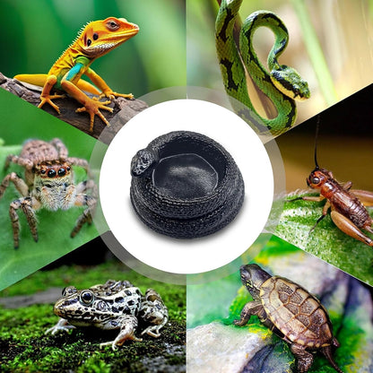 Snake-Shaped Reptile Water Dish & Food Bowl - Small Resin Terrarium Bowl for Bearded Dragon, Leopard Gecko, Hermit Crab, Tortoise, Frog, Lizard, Snake Habitat Tank Accessories