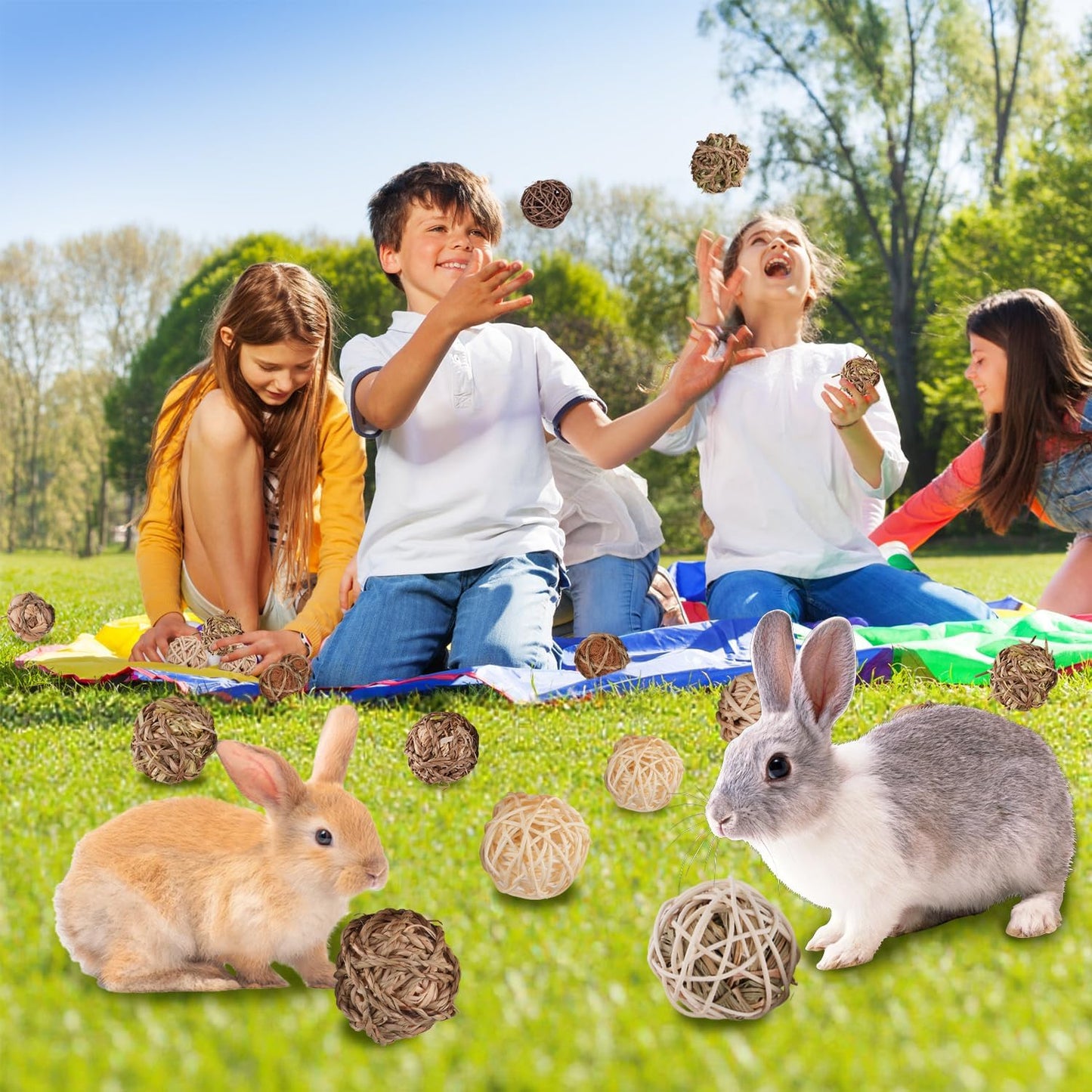 Sofier Rabbit & Guinea Pig Toys 16 Pcs Chew Grass Balls Natural Chews for Rodents - Handmade Enrichment Treats for Chinchillas, Guinea Pigs