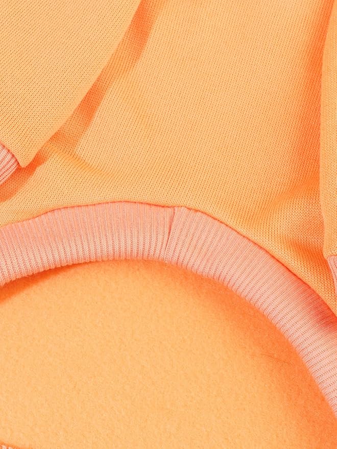QWINEE Basic Dog Hoodie Sweatshirt Puppy Sweater Warm Cat Costumes Pet Clothes for Chihuahua Puppy Kitten Small Medium Dogs Orange Large