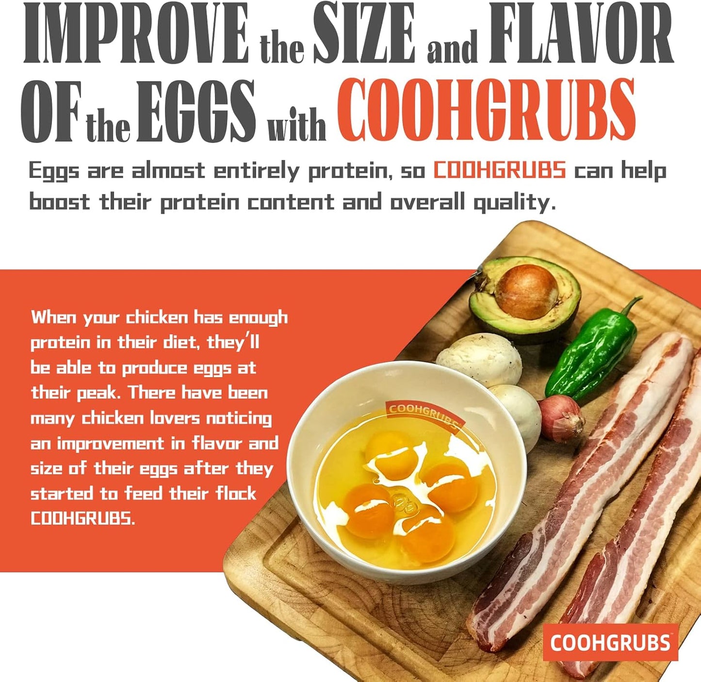 Dried Black Soldier Fly Larvae for Chickens, High-Calcium 85X More Than Mealworms Bird Treats, 5-lb Box