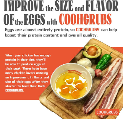 Dried Black Soldier Fly Larvae for Chickens, High-Calcium 85X More Than Mealworms Bird Treats, 10-lb Box