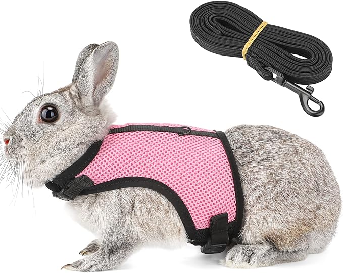 PETTOM Bunny Rabbit Harness with Stretchy Leash Cute Adjustable Buckle Breathable Mesh Vest for Kitten Small Pets Walking (Pink,XS)