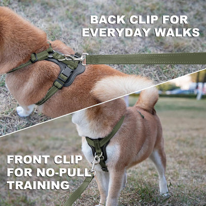 Plutus Pet Adjustable No Pull Dog Harness with Leather Accents, Heavy Duty Reflective Nylon Vest for Training, Hiking, Easy Walk Harness for Small, Medium, Large Dogs (Ranger Green, S)