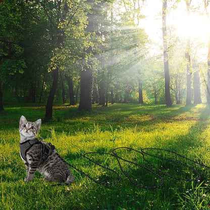 Reflective Cat Leash -50FT Cat Cable Out Escape Proof Walking Leads Yard Long Durable Safe Leash Traning Play Outdoor for Puppies/Kittens/Small Animals(Black)