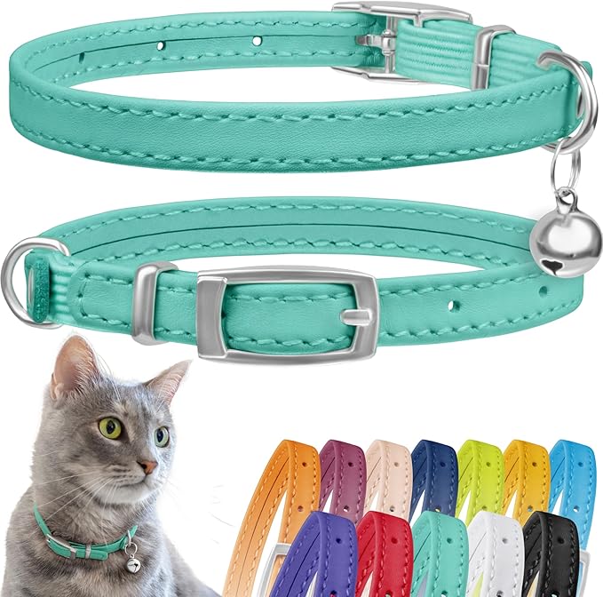 CollarDirect Leather Cat Collar with Bell - Kitten Collar, Small and Big Cat Collar for Boy Cats, Girl Cats with Safety Elastic Strap (Neck Fit 6"-7", Mint Green)