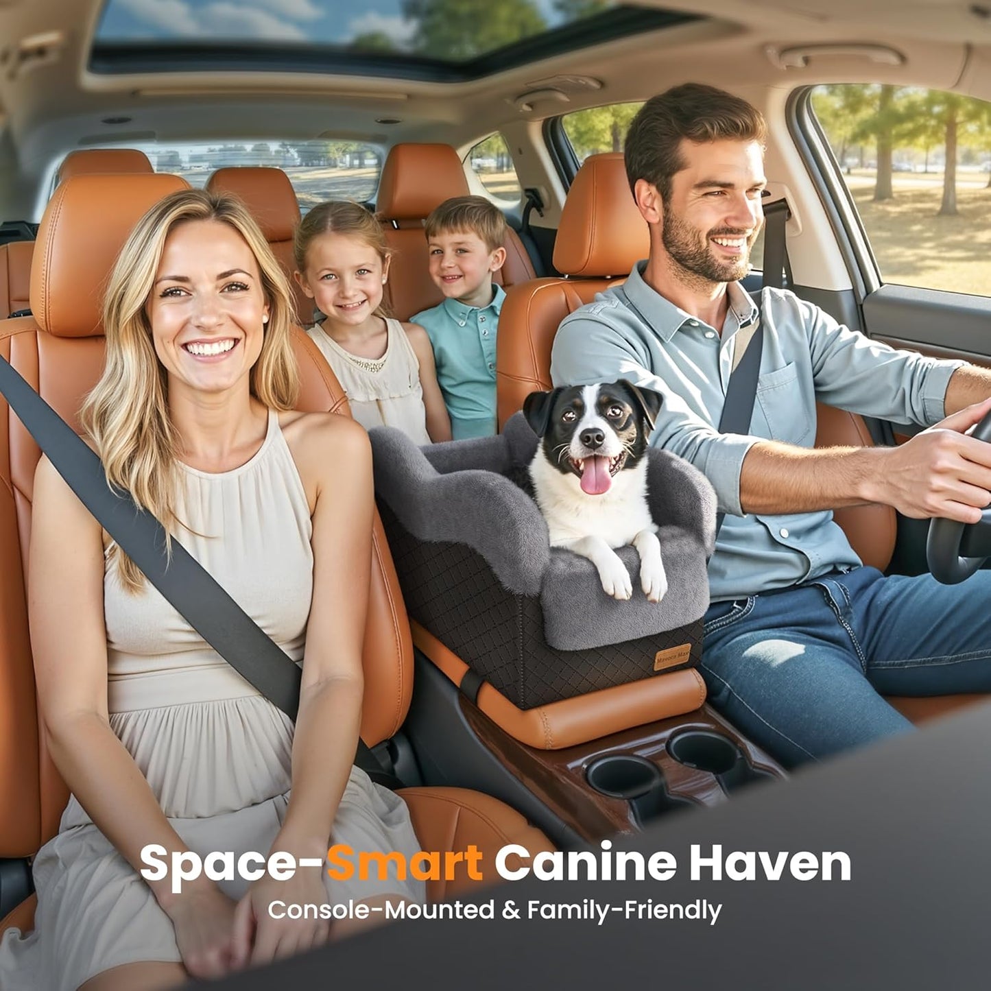 Portable Small Dog Seat for Car, Luxury Center Console Dog Car Seat Booster with Safety Tethers, Auti-Collapse Pet Travel Carseat for SUV, Truck (Black/Grey)