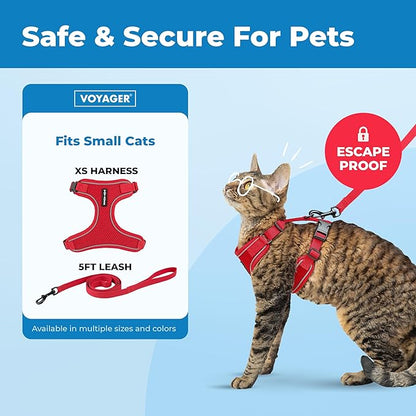 Voyager Escape Proof Cat Harness and Leash Set with Reflective Stitching, Neoprene Handle 5ft - Supports Small, Medium and Large Cats, Kittens for Walking by Best Pet Supplies - Red, XS