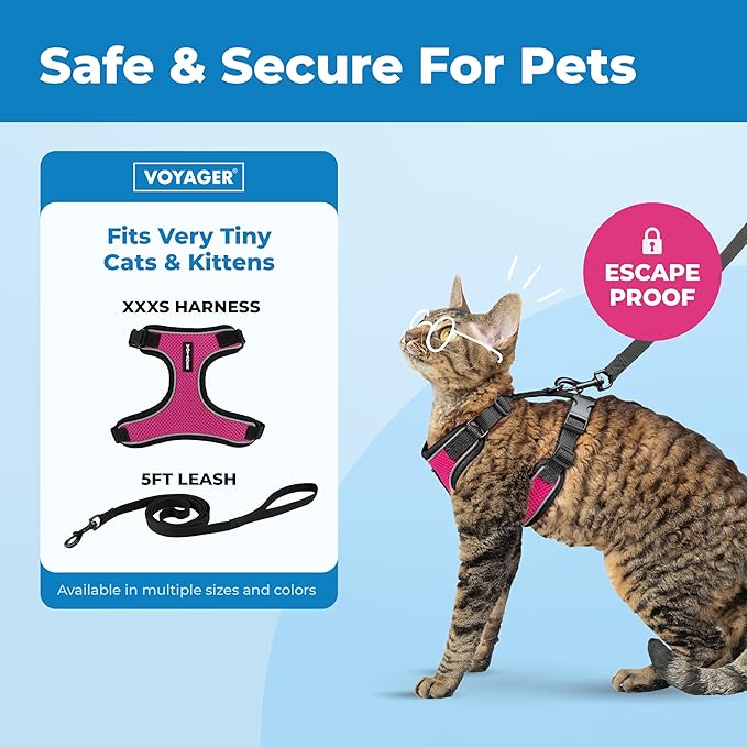 Voyager Escape Proof Cat Harness and Leash Set with Reflective Stitching, Neoprene Handle 5ft - Supports Small, Medium and Large Cats, Kittens for Walking by Best Pet Supplies - BT-Fuchsia, XXXS