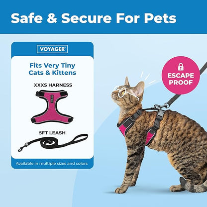 Voyager Escape Proof Cat Harness and Leash Set with Reflective Stitching, Neoprene Handle 5ft - Supports Small, Medium and Large Cats, Kittens for Walking by Best Pet Supplies - BT-Fuchsia, XXXS