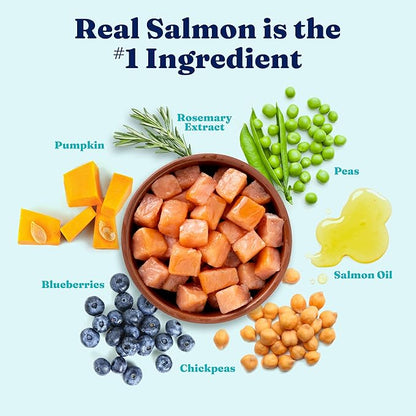 Solid Gold Salmon Dog Food for Sensitive Stomachs – Grain Free & Gluten Free Kibble w/Probiotics to Support Gut Health & Digestion - Sensitive Stomach Dog Food for All Ages – Nutrientboost™ – 22 LB