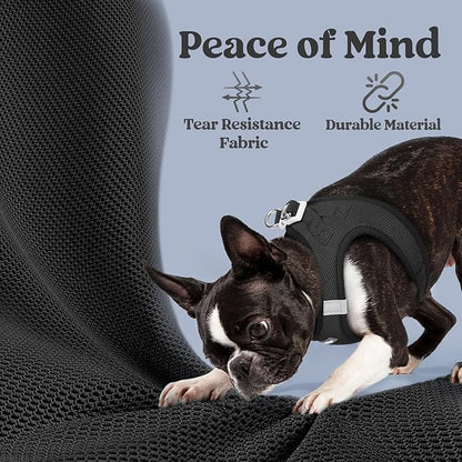 rabbitgoo Small Dog Harness, Step-in Soft Mesh Puppy Vest with Safety Buckle, Breathable Reflective Pet Harness for Extra Small Dogs, Black XXS