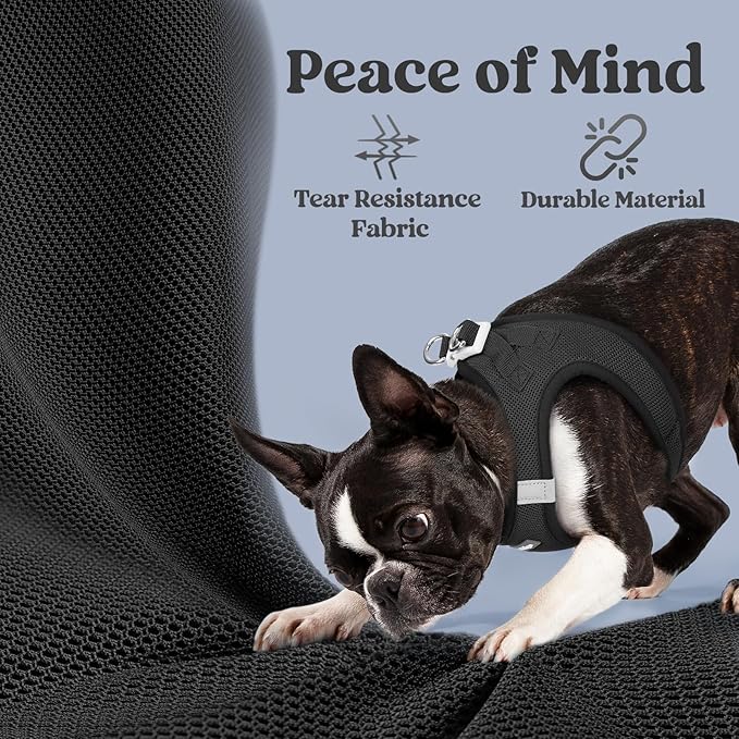 rabbitgoo Small Dog Harness, Step-in Soft Mesh Puppy Vest with Safety Buckle, Breathable Reflective Pet Harness for Small Medium Dogs, Black XL