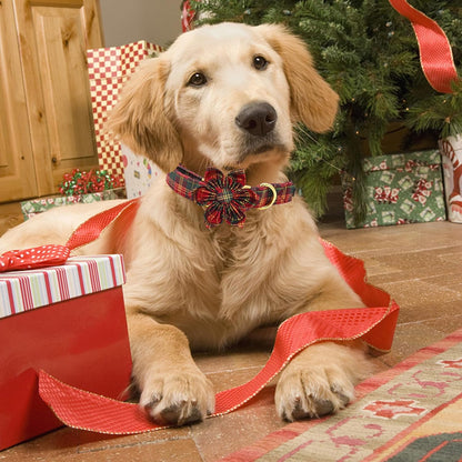 Elegant little tail Dog Collar, Christmas Red Plaid Pet Collar Cute Dog Collars Male or Female Pet Gift Adjustable Dog Collar for Small Dogs