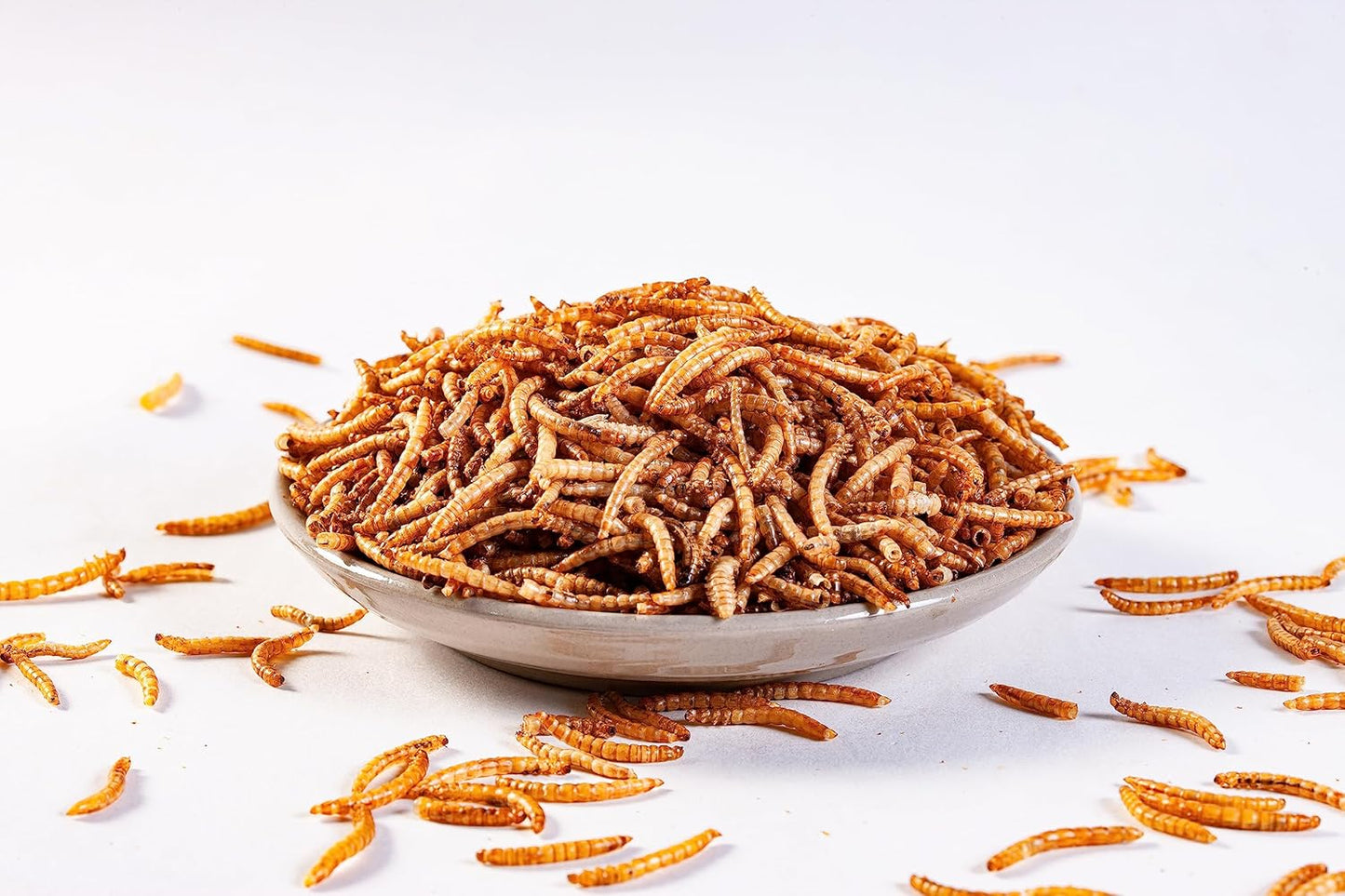 I LOVE WORMS Dried Mealworms (5lb), Wild Bird Food, High-Protein Mealworms for Bluebirds, Chickens, Ducks, Reptile, Tortoise, Amphibian, Lizard