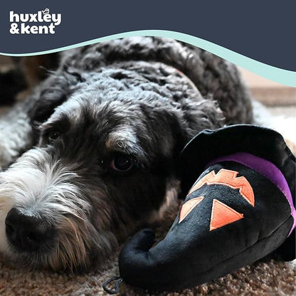 Huxley & Kent Halloween Funny Dog Toy w/Squeaker – Power Plush Squeaky Dog Toys for Small, Medium & Large Dogs – Soft Stuffed Animal for Indoor Play & Fetch - Witch Hat, One Size