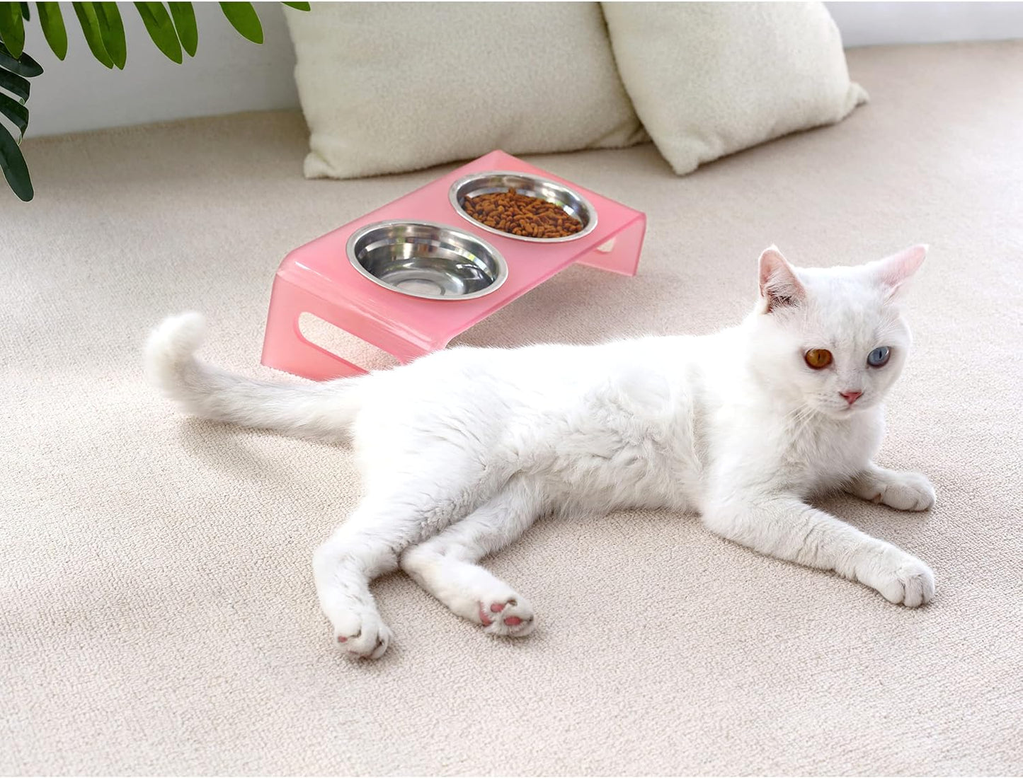 Tilted Raised Elevated Food and Water Bowls Stand for Cat or Small Dogs - Puppy's Clear Acrylic Stainless Steel Dishes Holder for Boy or Girl Pet,Modern,Durable and Easy to Clean by WBhonghui (Pink)