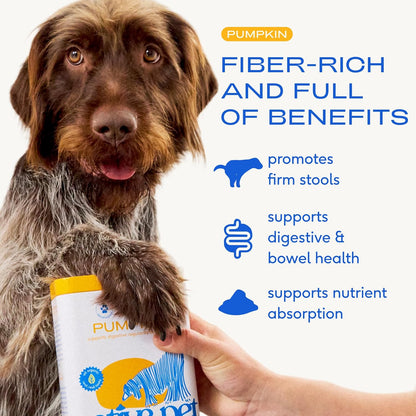 Native Pet Pumpkin for Dogs - Organic Powder Pumpkin Puree Dog Food Toppers -Rich in Fiber Supplement Powder Helps with Digestion, Nutrient Absorption, Diarrhea, Constipation & Upset Stomach-60 Scoops