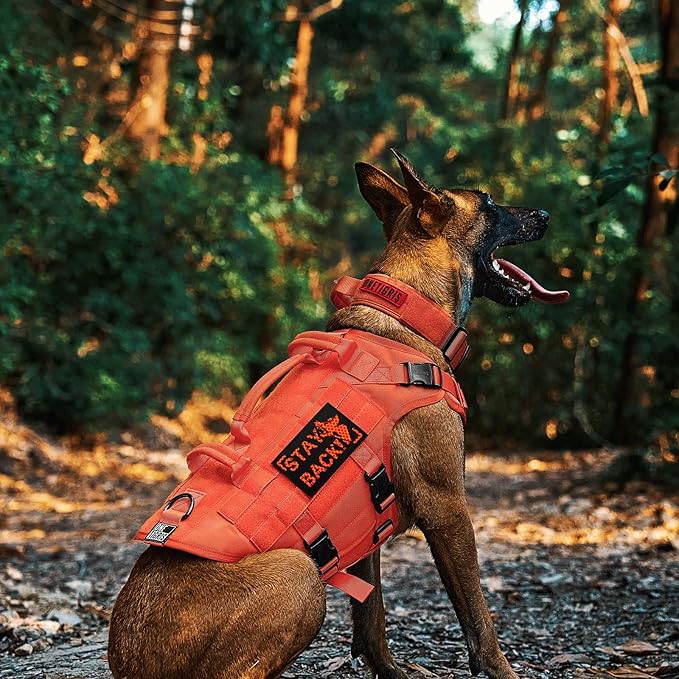 OneTigris Large Tactical Dog Harness, No Pulling Adjustable Dog Vest Harness, Heavy Duty Dog Harness with Handle, Large Hook and Loop Panels for Patch(Orange,M)