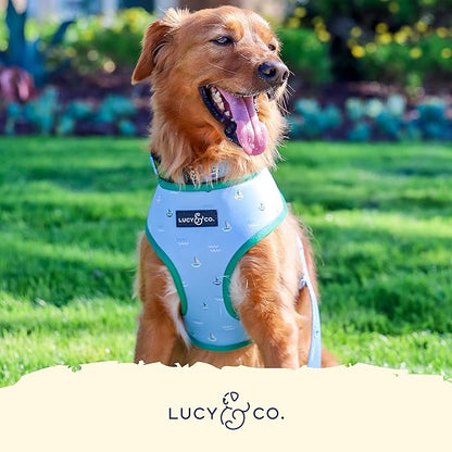 Lucy & Co. Set Sail Reversible Harness, Walking Halter - Best Designer Pet Harnesses for Small Dogs - Padded Adjustable Vest for Easy Walking, Small, Blue & White Stripes & Sailboats