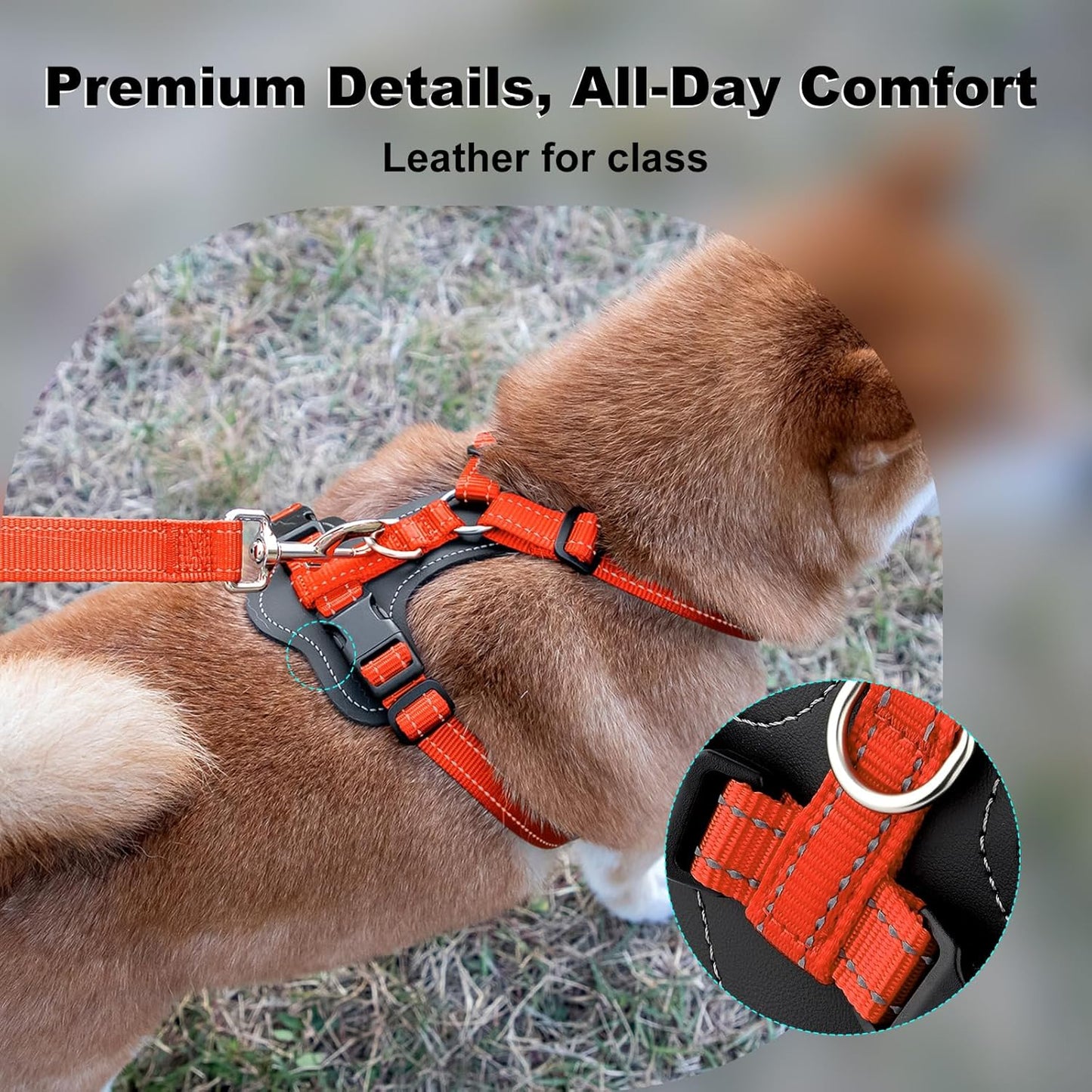 Plutus Pet Adjustable No Pull Dog Harness with Leather Accents, Heavy Duty Reflective Nylon Vest for Training, Hiking, Easy Walk Harness for Small, Medium, Large Dogs (Orange, M)