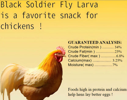 11 lb Black Soldier Fly Larva - BSFL is a high Calc-Rich Chicken Feed with More Calcium Than mealworms.It is a Pure Natural Food That Provides high Protein for Chickens and Birds