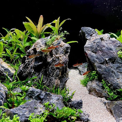 2-4 Inches Natural Seiryu Stone 10 PCS Aquarium Rocks for Aquascaping, Aquarium Landscaping, Terrariums, Fish Tank Decoration, Vivariums, Paludarium, Reptile and Amphibian Enclosures