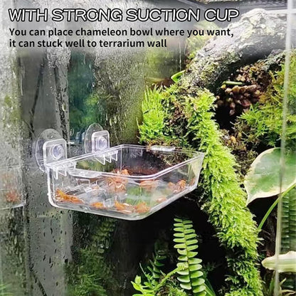 Tfwadmx 2 Pcs Chameleon Bowl, Reptile Feeding Food, Water Dish Gecko Worm Feeder Anti-Escape Hanging Chameleon Supplies Accessories for Lizard Bearded Dragon Snakes