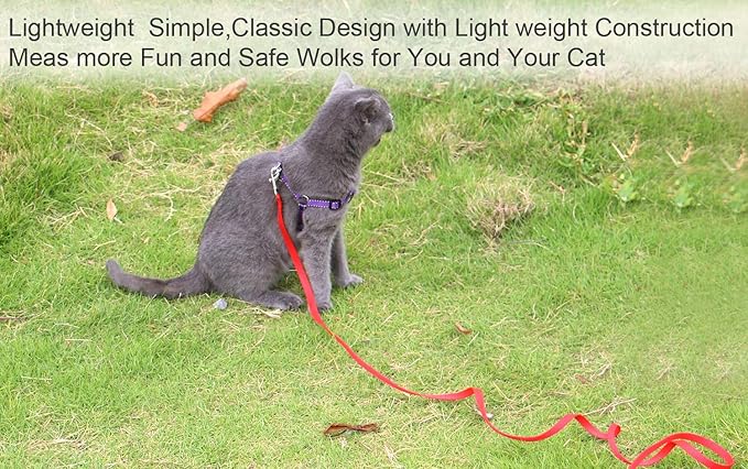 6 FT Puppy Leashes, Traditional Style Leash with Easy to Use Collar Hook, Great for Small, Medium and Large Dogs (Red, 5/8" x 6 Feet)