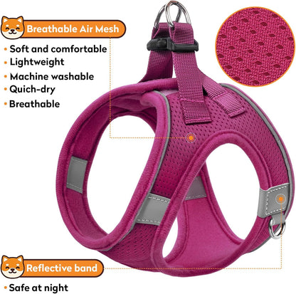 Dog Harness with Leash Set, No-Pull Step-in Reflective Pet Harness with 1 Leash Clips, Adjustable Soft Padded Easy Walk Dog Vest for Small Medium Large Dogs, Cats(Rose Red, Medium)