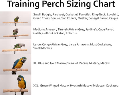 Parrot Training Perch Stand with Potty Tray (T Perch, Large)