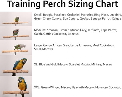 Parrot Training Perch Stand with Potty Tray (T Perch Hardwood, Large)