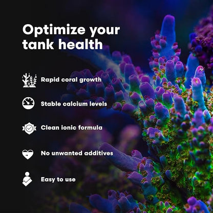 Brightwell Aquatics Calcion - Concentrated Ionic Calcium Supplement for Reef & Saltwater Aquariums Supports Coral Growth Aragonite Formation No Phosphate, 2L