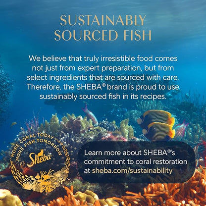 Sheba Perfect Portions Wet Cat Food Cuts in Gravy Variety Pack, with Sustainable Tuna and with Sustainable Salmon, 2.6 oz. Twin-Pack Trays (12 Count, 24 Servings) (Pack of 2)