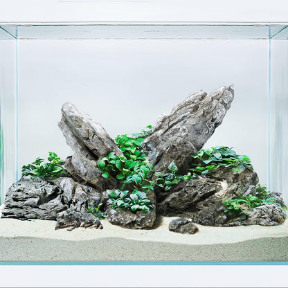 LANDEN Seiryu Stones Natural Rocks for Aquarium, Paludarium, Terrariums, Landscaping Rocks, Aquascaping, 80L (36lbs) 3-11in, Seiryu Stones(3-11inch,36lbs)