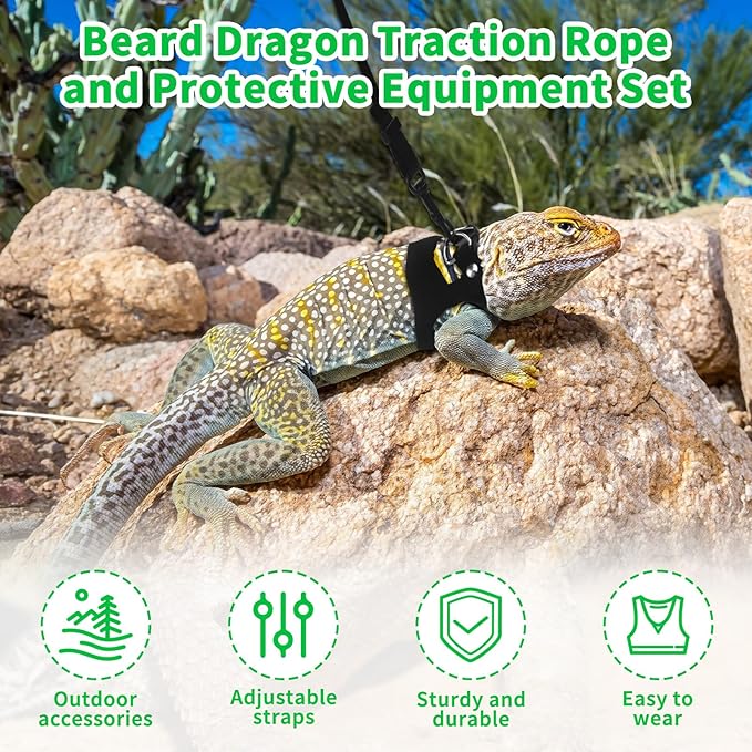 3PCS Bearded Dragon Leash, 3 Size Adjustable Squirrel Bearded Dragon Leash and Harness or Reptile Lizard, Amphibians, Small Animal Walking Vest with Traction Rope (S, M, L)
