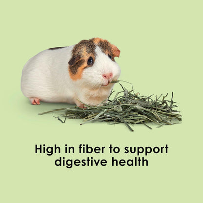 Kaytee Timothy Hay, High Fiber, Grown Specifically for Small Animals, Rabbits, Guinea Pigs, Chinchillas, Ideal Bulk Order for Small Pets, 12 pounds