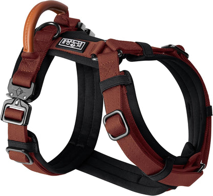 MADE TO ROAM Premium Explorer Harness - Y-Shaped Dog Harness with Adjustable Durable Nylon, Soft Padding, Metal Buckles and Leather Handle for Small, Medium, Large Dogs (Arizona Heartbeat, Size 4)