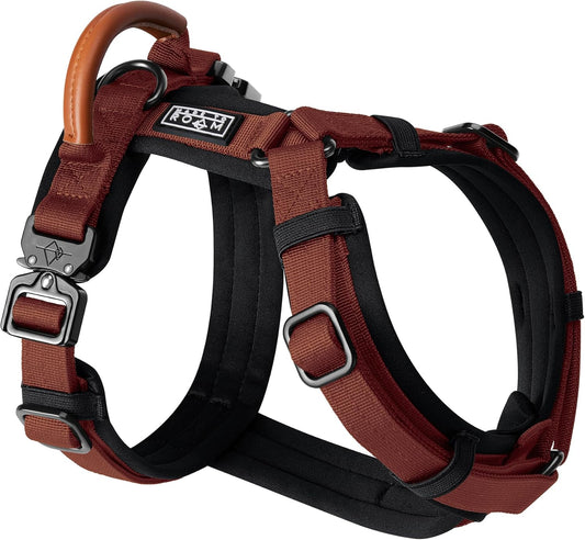 MADE TO ROAM Premium Explorer Harness - Y-Shaped Dog Harness with Adjustable Durable Nylon, Soft Padding, Metal Buckles and Leather Handle for Small, Medium, Large Dogs (Arizona Heartbeat, Size 5)