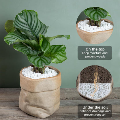 5lb River Rocks Polished Silica Gravel for Plants Garden, Decorative Pebbles Ideal for Fish Tank, Vases, Succulents, Crafting, Home Decor and Garden Landscaping, Snow White(0.2-0.3”)