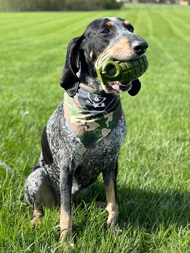 Operation Good Boy Grenade Dog Toy – Durable Chew Toy for Aggressive Chewers, Military-Inspired Design – Tough, Interactive, Teething & Treat-Dispensing Dog Toy for Medium and Large Dogs