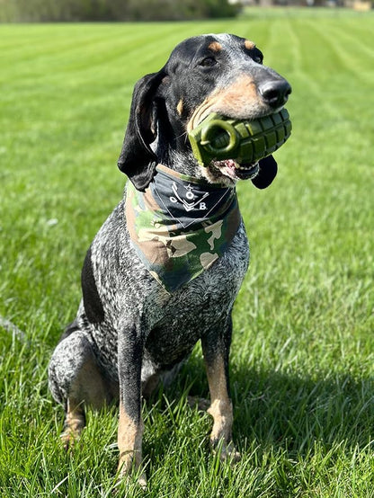 Operation Good Boy Grenade Dog Toy – Durable Chew Toy for Aggressive Chewers, Military-Inspired Design – Tough, Interactive, Teething & Treat-Dispensing Dog Toy for Medium and Large Dogs