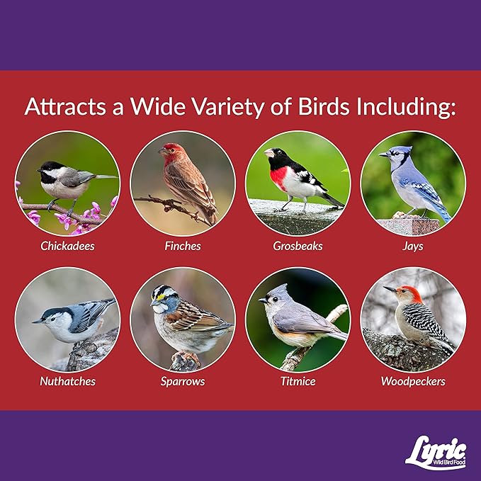 Lyric Delite Wild Bird Seed - No Waste Bird Food Mix with Shell-Free Nuts & Seeds - Attracts Buntings, Chickadees & Finches - 20 lb bag