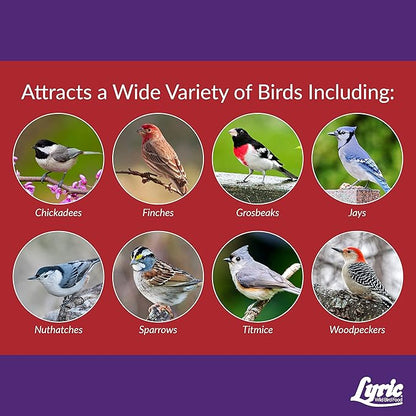 Lyric Delite Wild Bird Seed - No Waste Bird Food Mix with Shell-Free Nuts & Seeds - Attracts Buntings, Chickadees & Finches - 20 lb bag