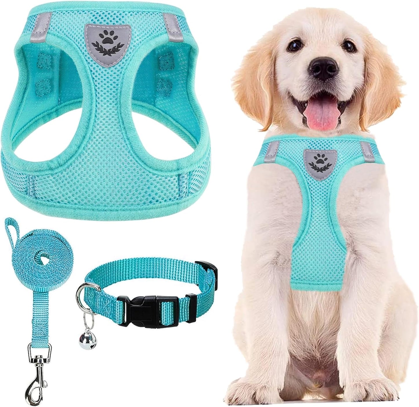 PUPTECK Adjustable Dog Harness Collar and Leash Set Step in No Pull Pet Harness for Small Medium Dogs Puppy and Cats Outdoor Walking Running, Soft Mesh Padded Reflective Vest Harnesses, Turquoise XS