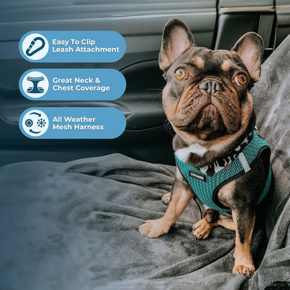 Best Pet Supplies Voyager Step-in Air Harness - All Weather Mesh, Reflective, No Pull Harness for Dogs, Cats - Secure with Hook & Loop Fastener, Buckle, Double D-Rings - Tone, XL