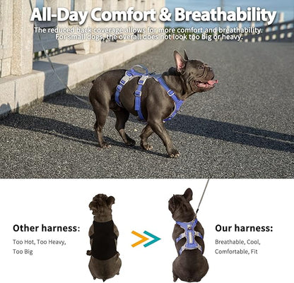 Huntboo Escape Proof Harness for Dogs, No Escape Dog Harness, No Pull Dog Harness for Small Dogs with Handle, Reflective, Breathable,Durable, Adjustable Vest for Walking,and Running Gear(Vista Blue,S)