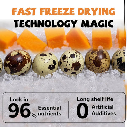 PAWUP Freeze Dried Cat & Dog Treats, Natural Quail Egg Yolk, High Fiber Pumpkin Added, High-Protein Pet Snacks for Coat & Gut Health, 3.5 oz